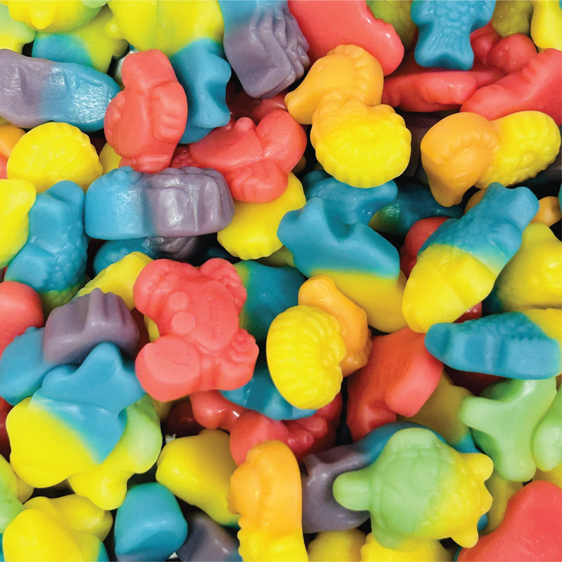 Ocean Gummies