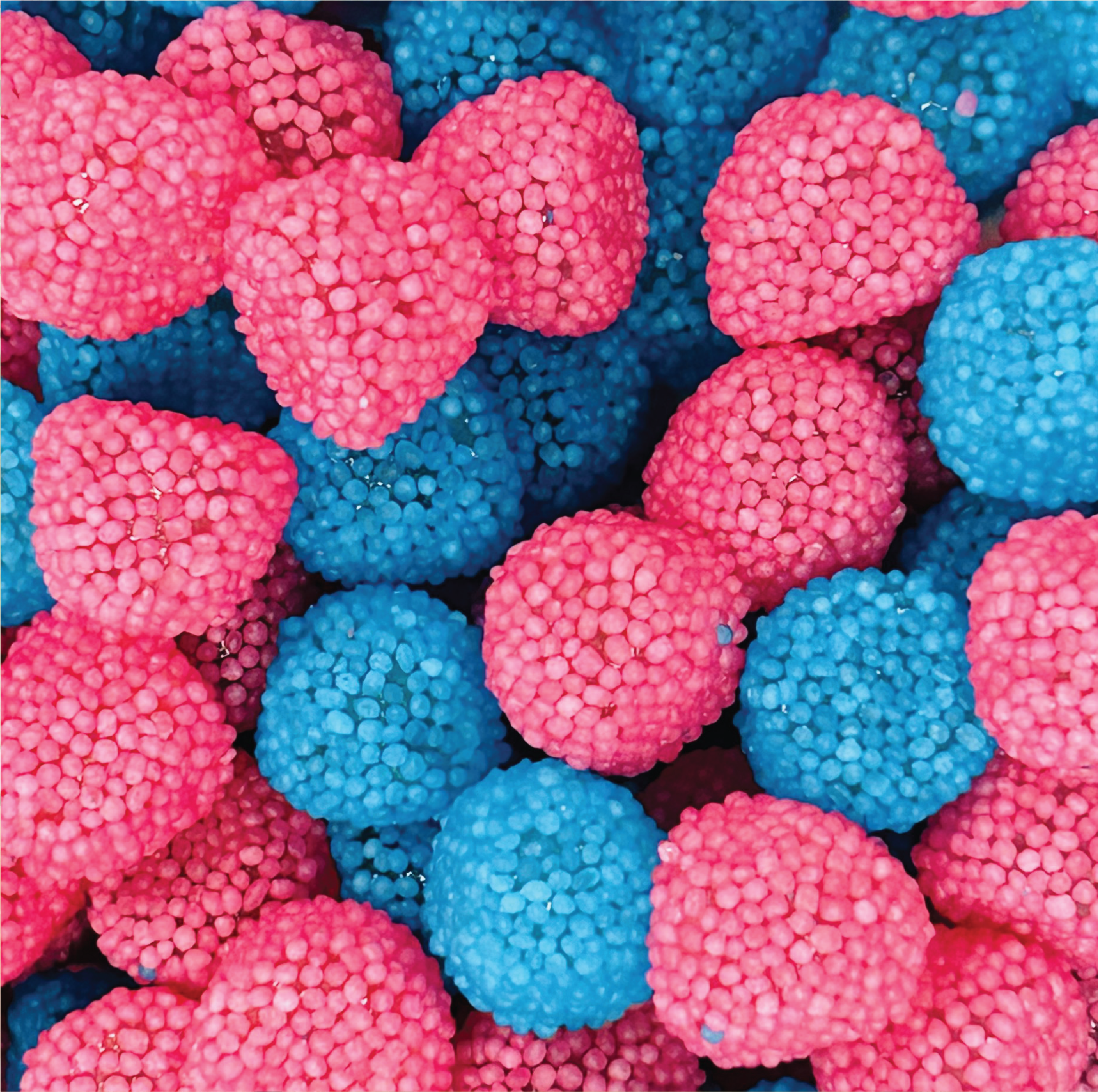 Pink and Blue Berries