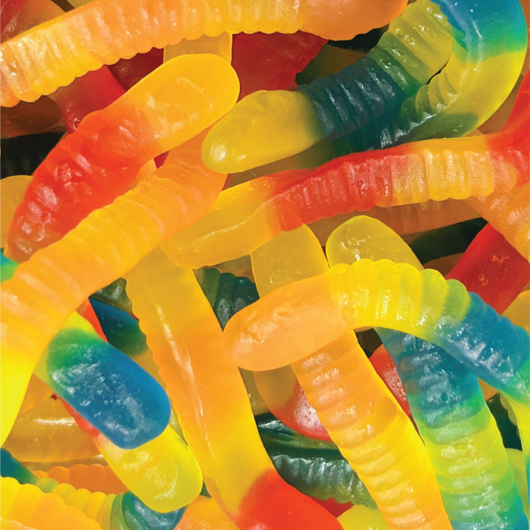 Sugar Free Gummy Worms