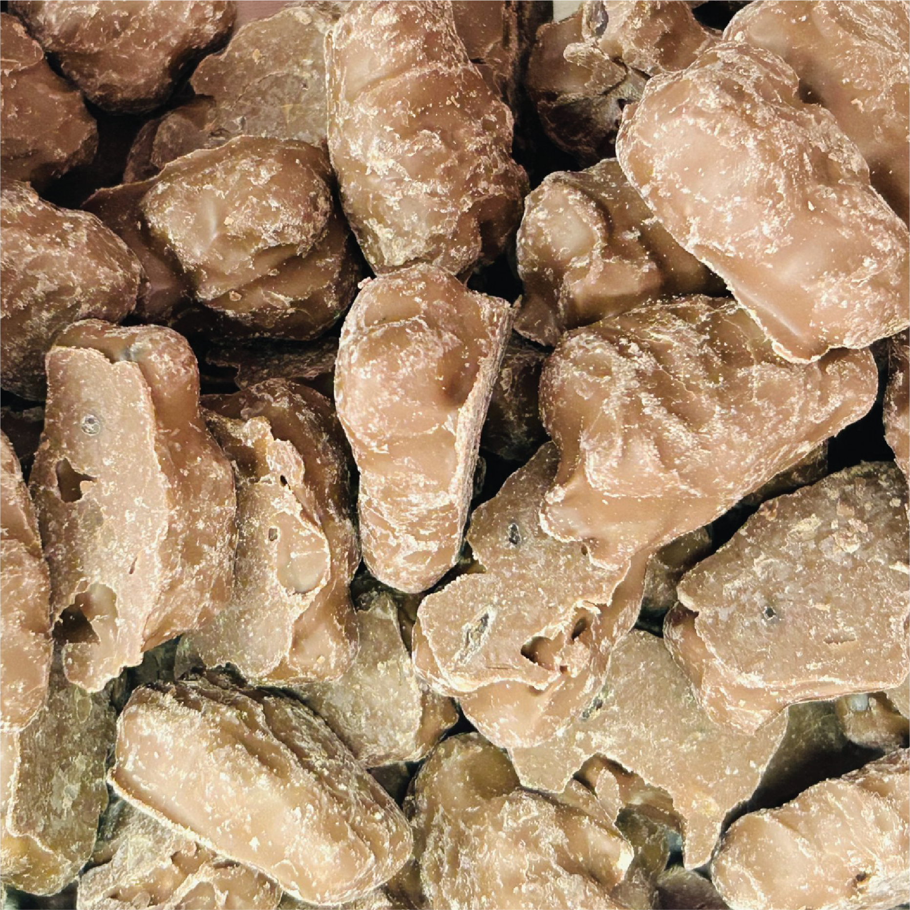 Chocolate Covered Gummy Bears